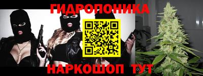 2c-b Камышлов
