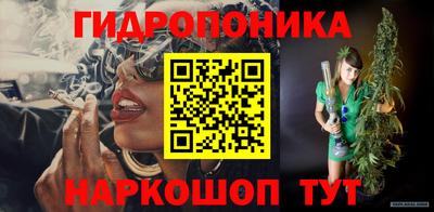 2c-b Камышлов