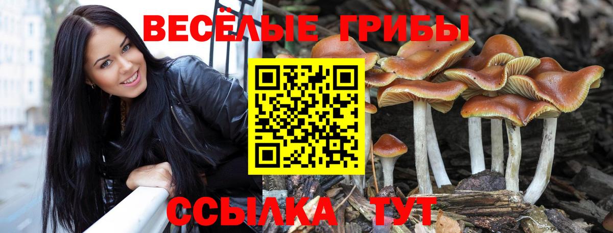 Галлюциногенные грибы MAGIC MUSHROOMS  Псилоцибиновые грибы MAGIC MUSHROOMS  Вход с VPN  Кыштым 